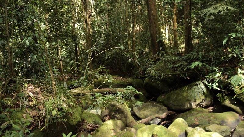 Taman Nasional Kayan Mentarang (Kalimantan Utara)