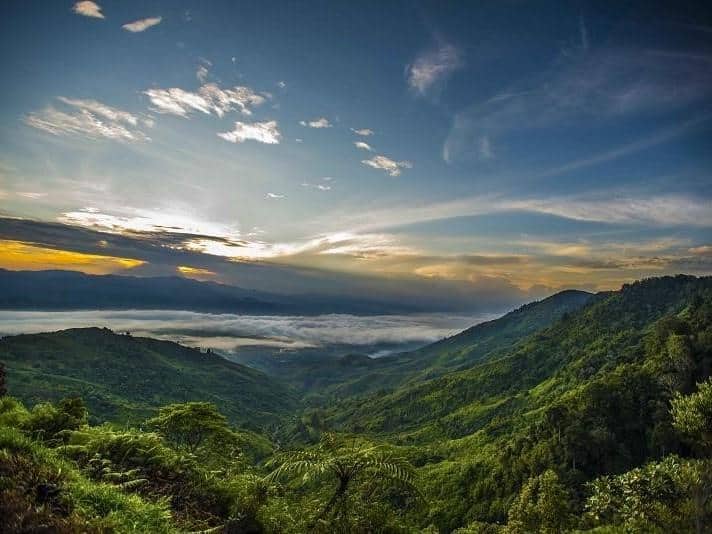 Taman Nasional Kerinci Seblat (Sumatera Barat, Sumatera Selatan, Jambi, dan Bengkulu)