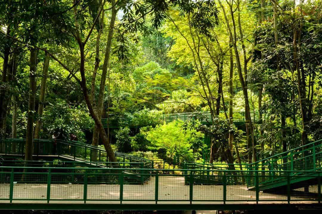 Tempat wisata di tengah kota Bandung_hutan kota baksil