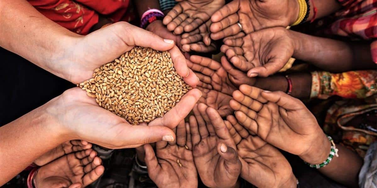 Membagikan Sedekah Secara Acak