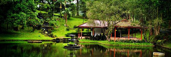 Kebun Raya Cibodas tempat wisata di cianjur