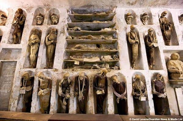 Museum Catacombs