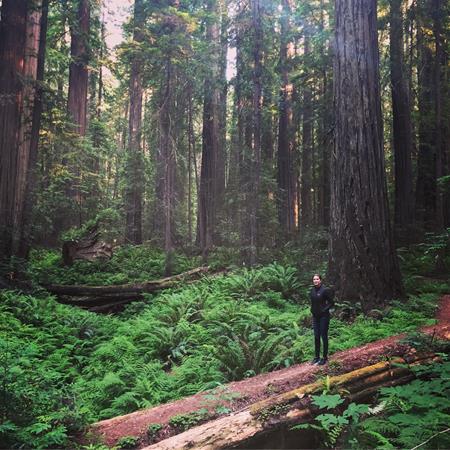 Hutan Humboldt Redwoods - California, Amerika Serikat