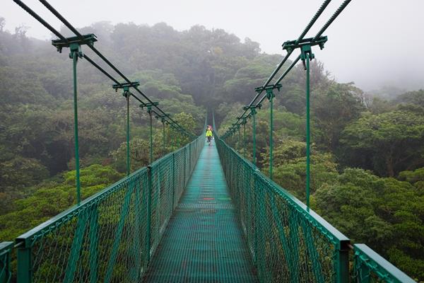 Hutan Monteverde - Kosta Rika
