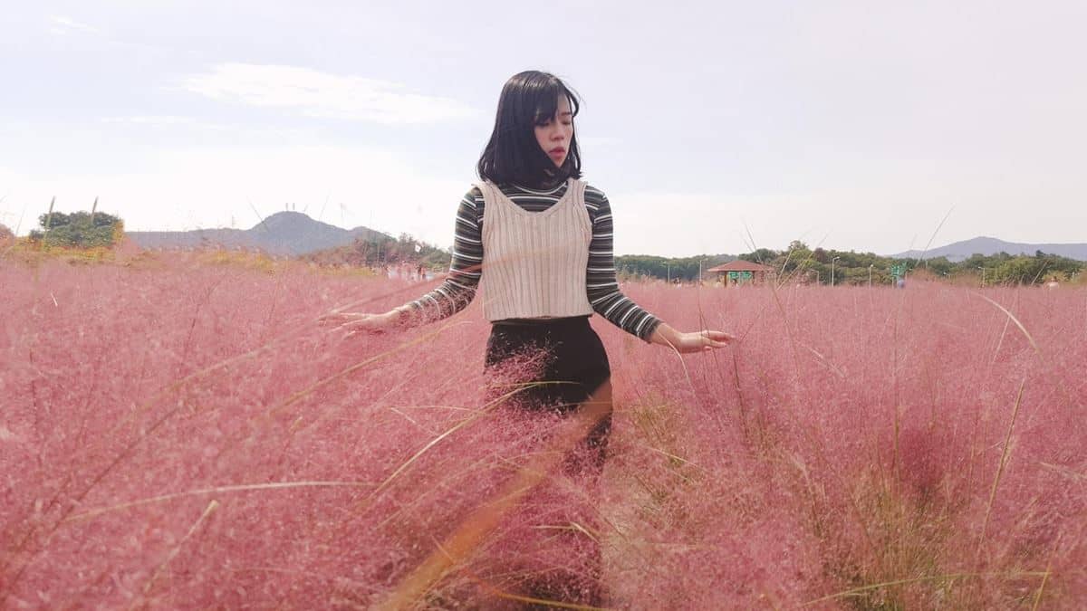 Pink Muhly Field