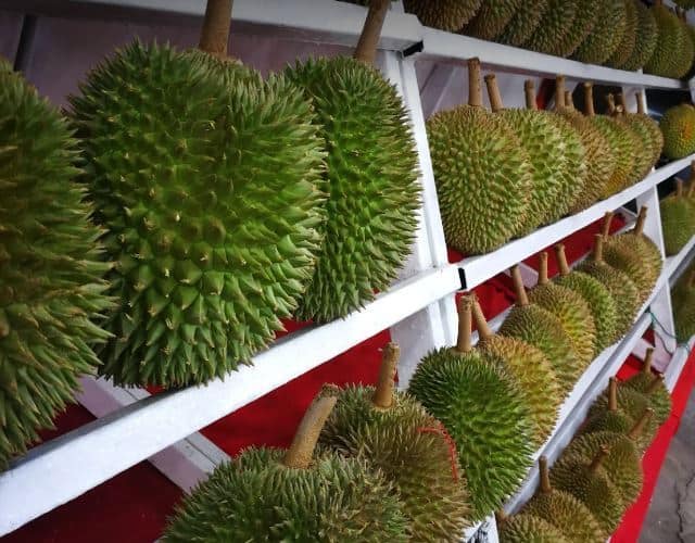 sk 6363 tempat makan durian di malaysia