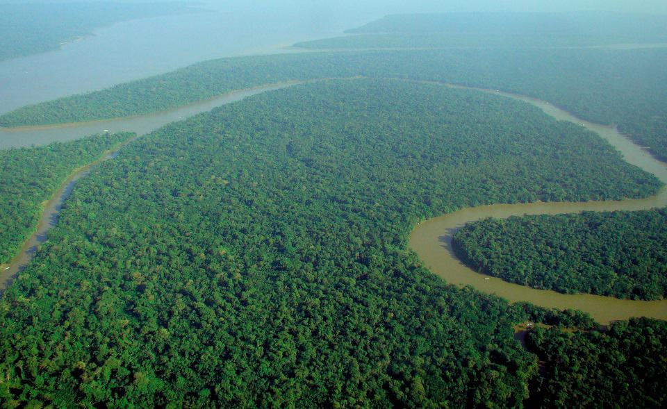 Hutan Hujan Amazon