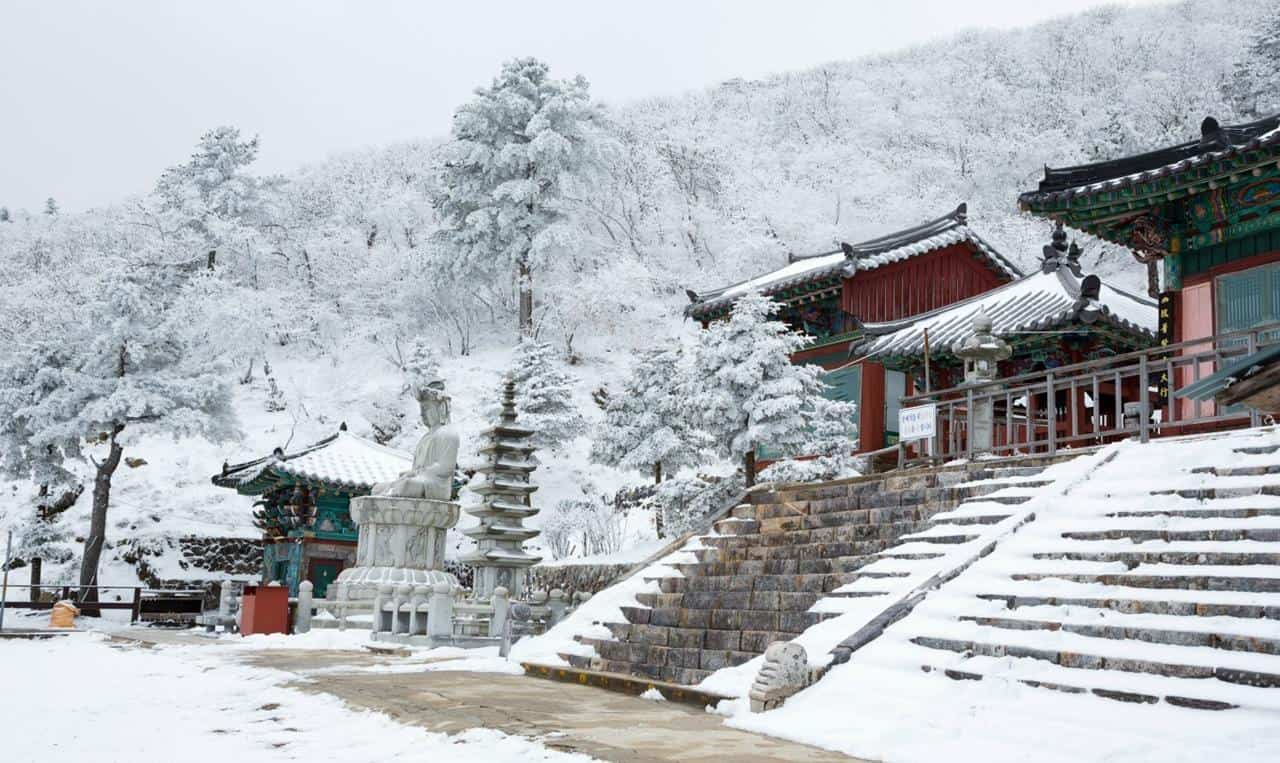 winter korea
