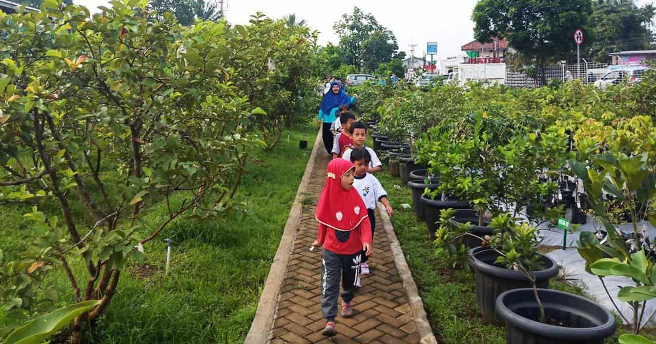 Bermain Sambil Belajar di 10 Tempat Wisata Edukasi di Bogor