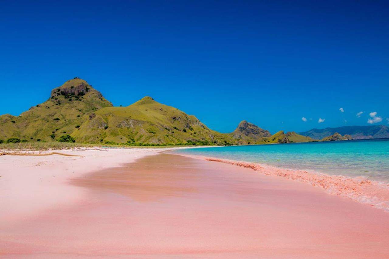 Pantai Pink – Nusa Tenggara Timur (NTT)