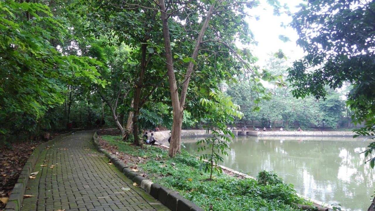 Taman Hutan Kota Srengseng