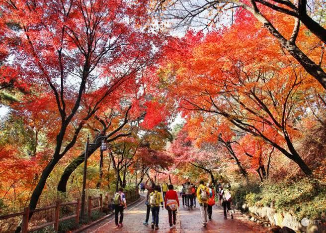 10 Taman di Korea yang Wajib Dikunjungi untuk Liburan