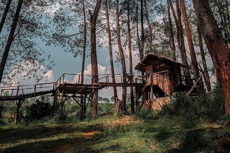 tempat wisata di Bandung_Hutan Pinus Rahong