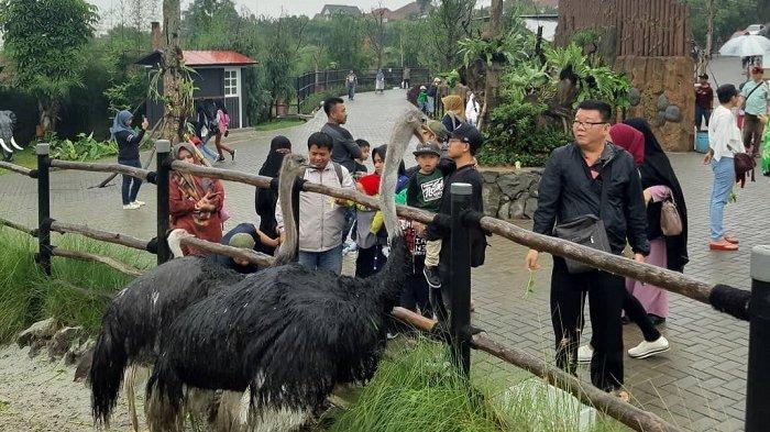tempat wisata di Bandung_Lembang Park and Zoo