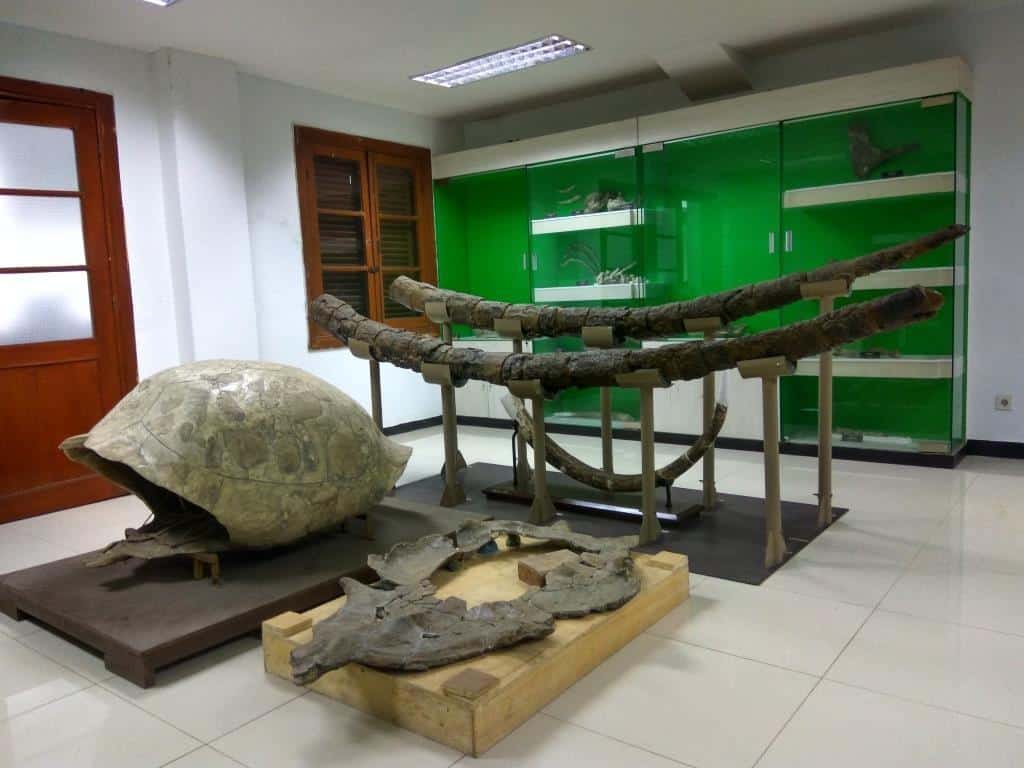 Fasilitas di Museum Geologi