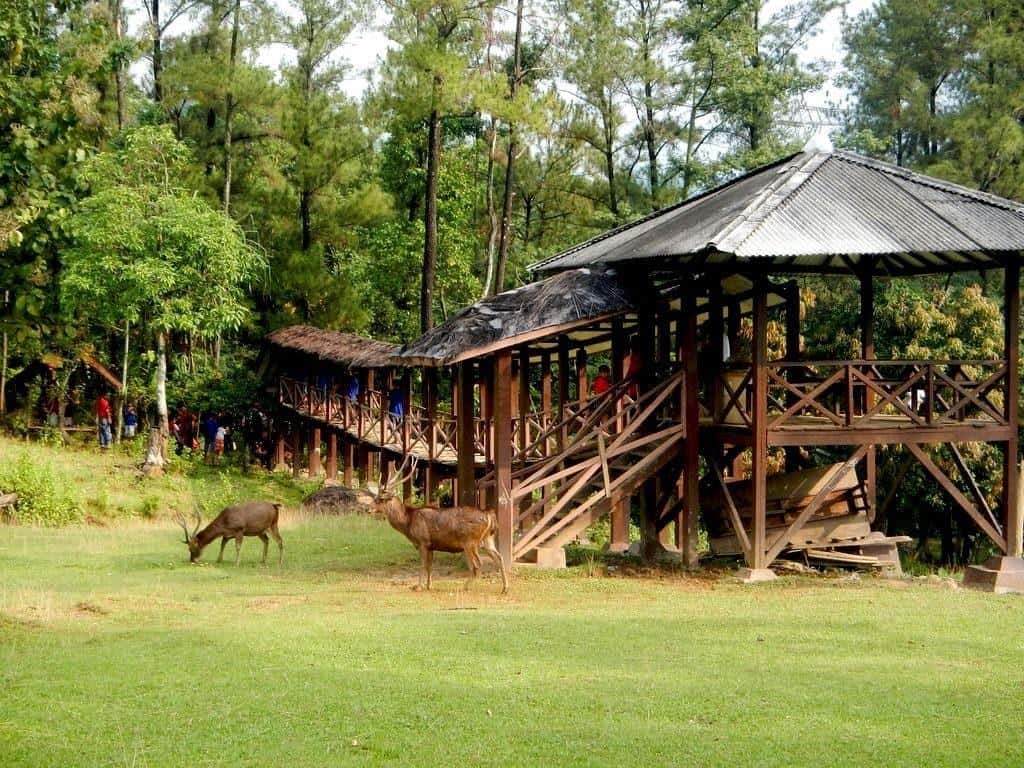 Yuk, Kunjungi 10 Tempat Wisata di Bogor yang Paling Hits!