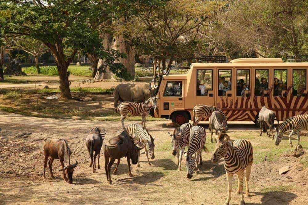 Taman Safari Bogor