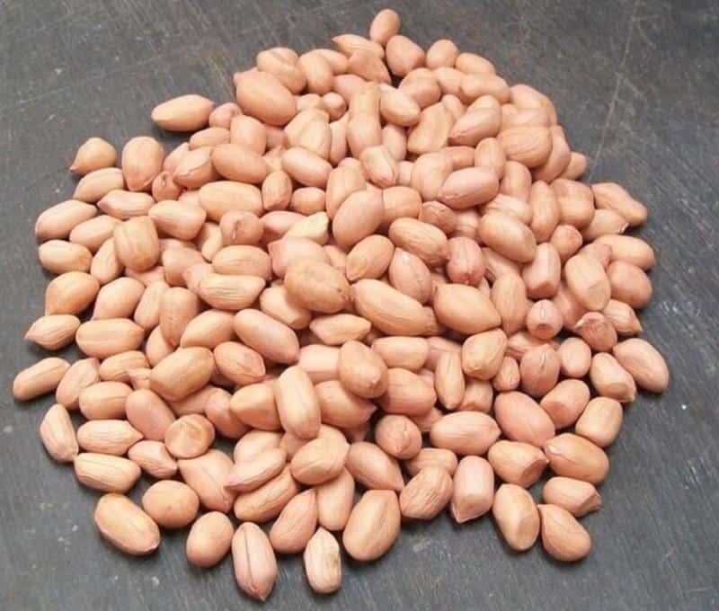 Kacang Khas Pati