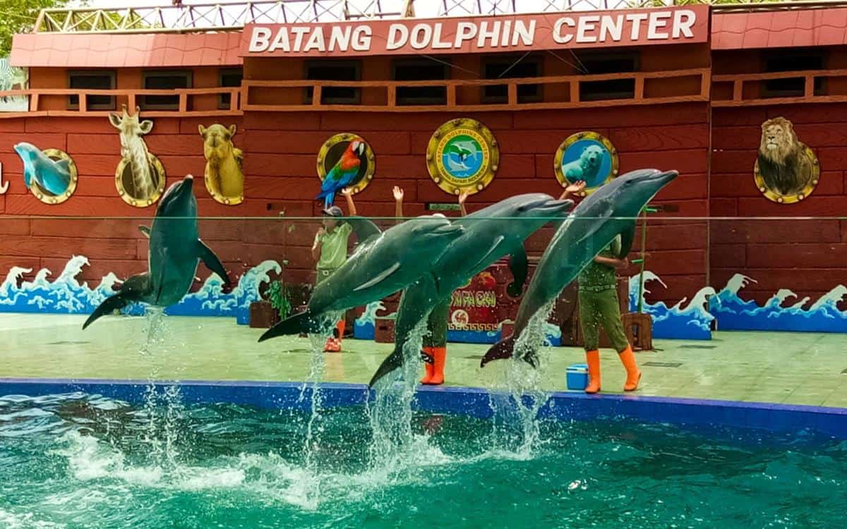 Batang Dolphin Center