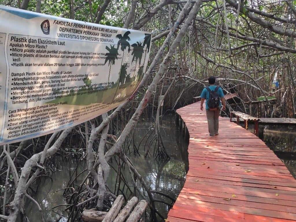 Jembatan Merah Hutan Mangrove