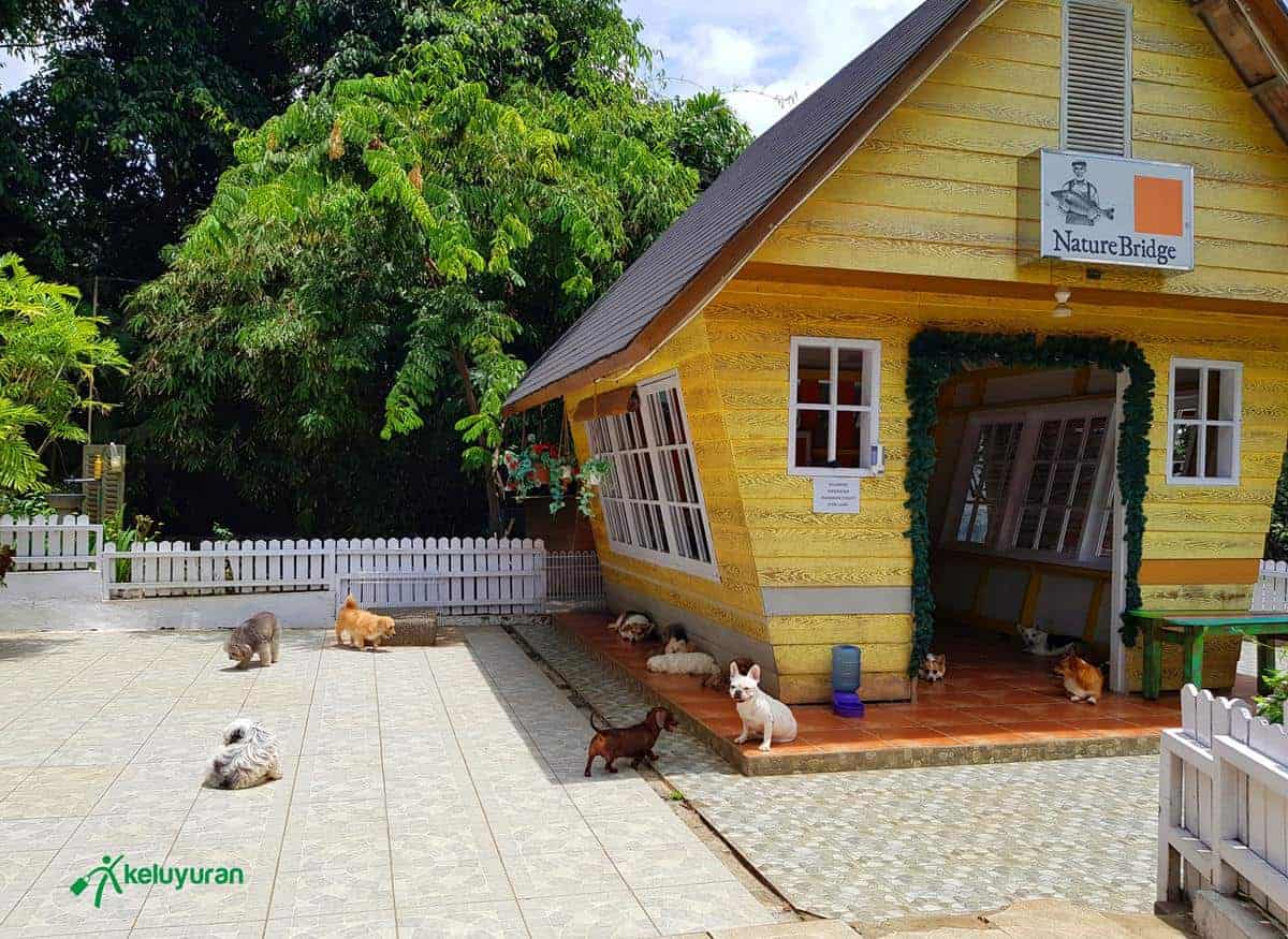 Rumah Anjing Kecil