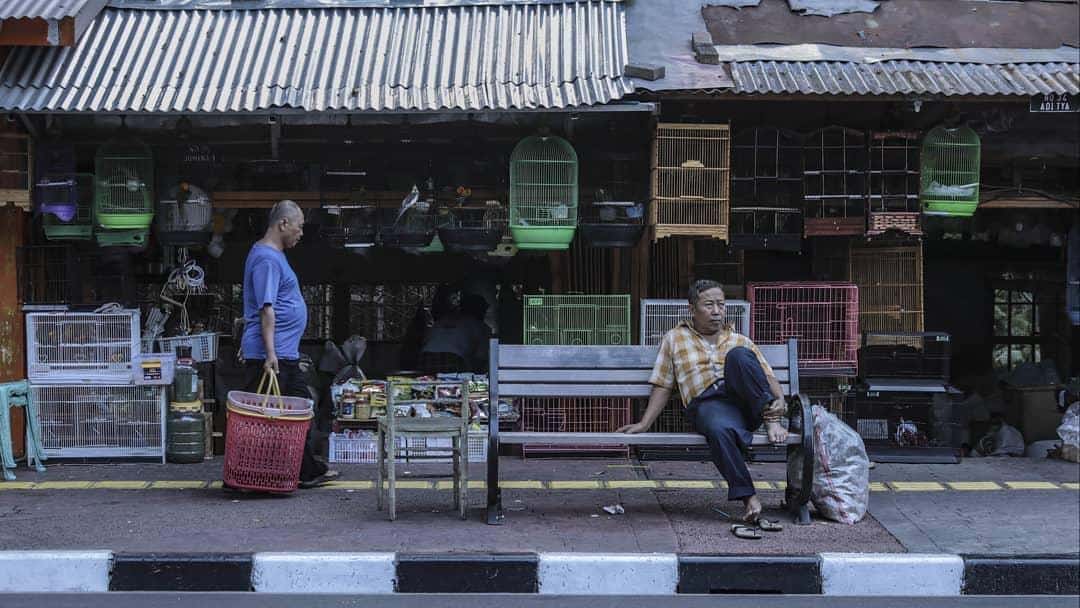5 Pasar Hewan Paling Lengkap yang Ada di DKI Jakarta 2