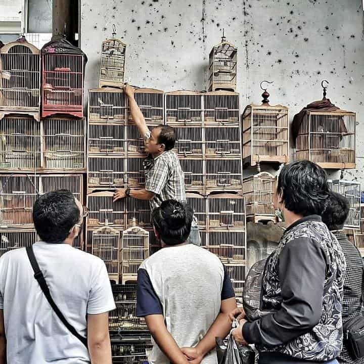 5 Pasar Hewan Paling Lengkap yang Ada di DKI Jakarta 4