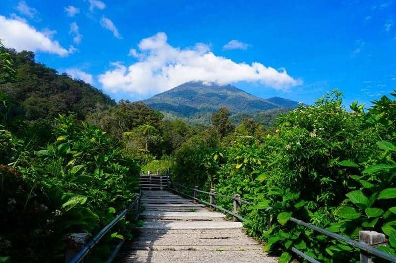 Taman Nasional Gunung Gede Pangrango (Jawa Barat)