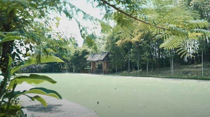 Rekreasi Bernuansa Alam di Dusun Bambu Family Leisure Park 8