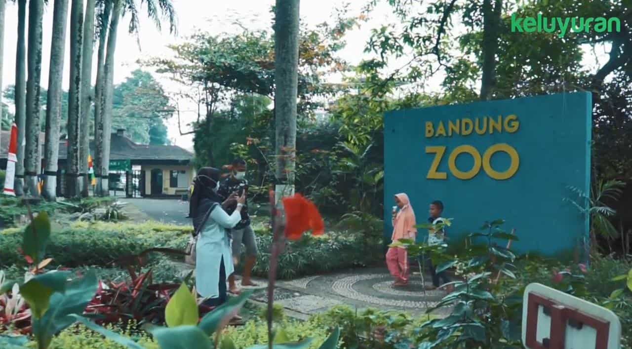 Kebun Binatang Bandung, Tempat Wisata Keluarga yang Seru! 4
