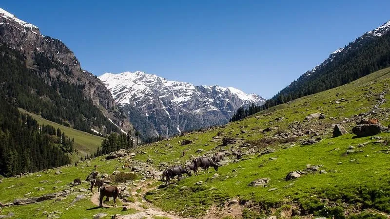 Lembah Lidder, Jammu-Kashmir