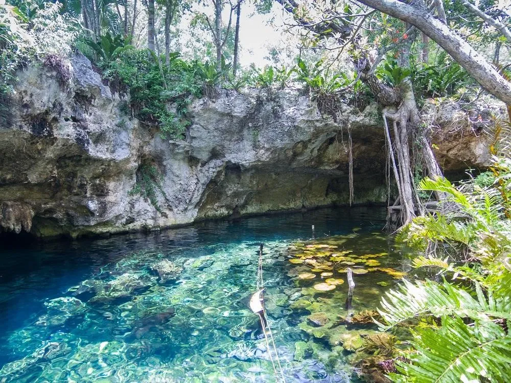 Cenote Gran, Tulum 