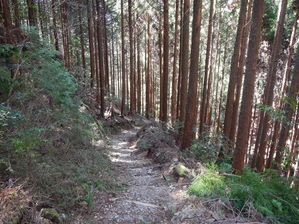 Jalur Hiking Ziarah Kumano Kodo