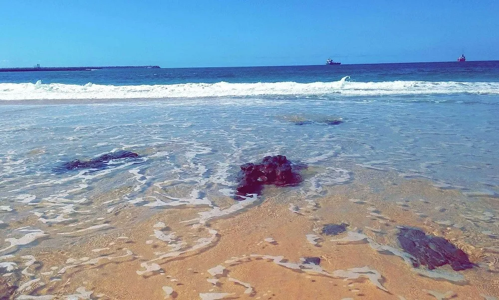 Pantai Monica