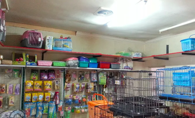 15 Pet Shop di Bandung untuk Perawatan Hewan Peliharaanmu 3