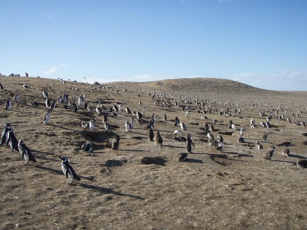 Monumen Alam Los Pingüinos