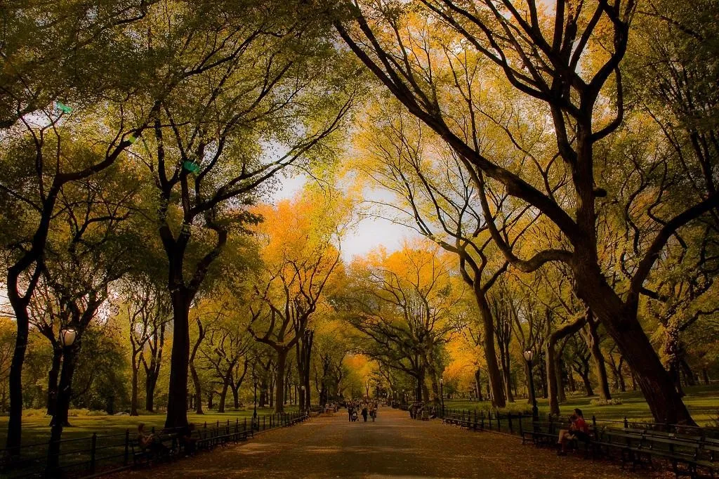Taman Central Park – Manhattan, New York