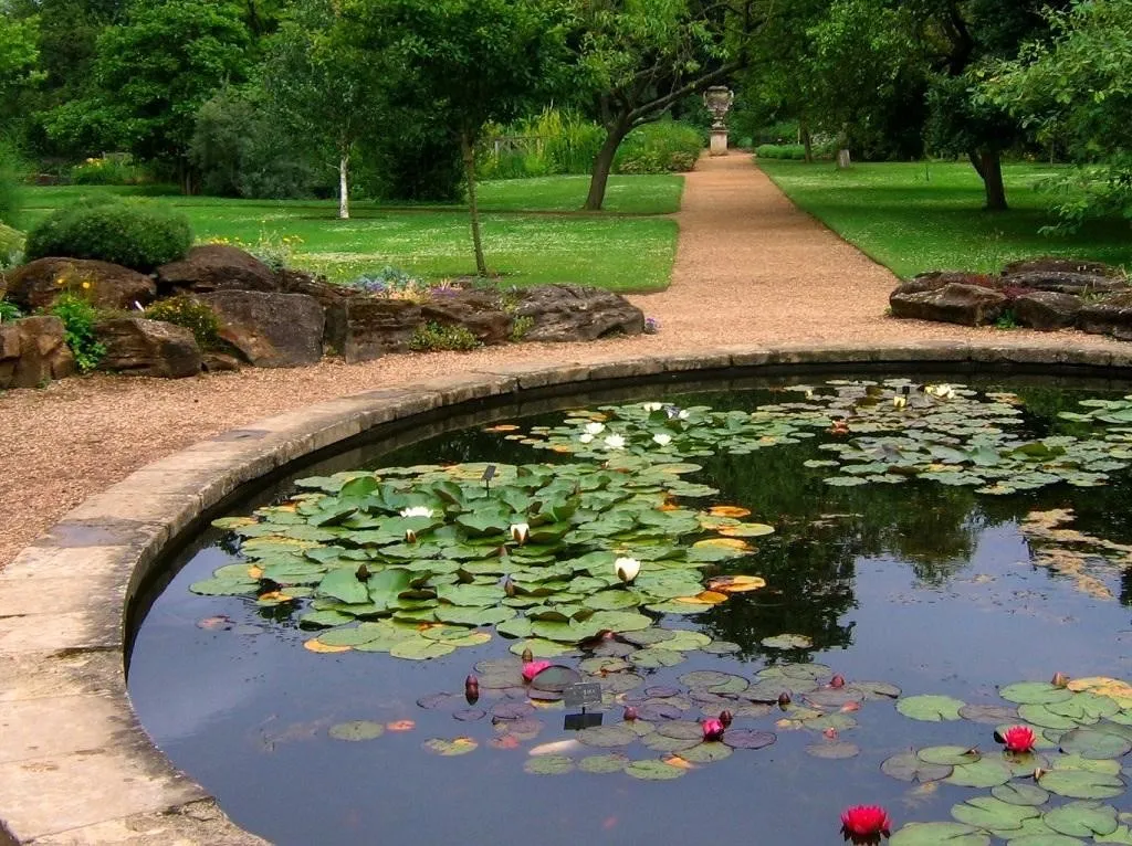 University Of Oxford Botanic Garden