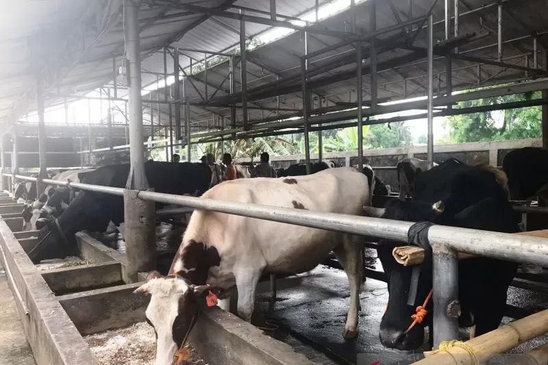 Cibubur Garden Dairy