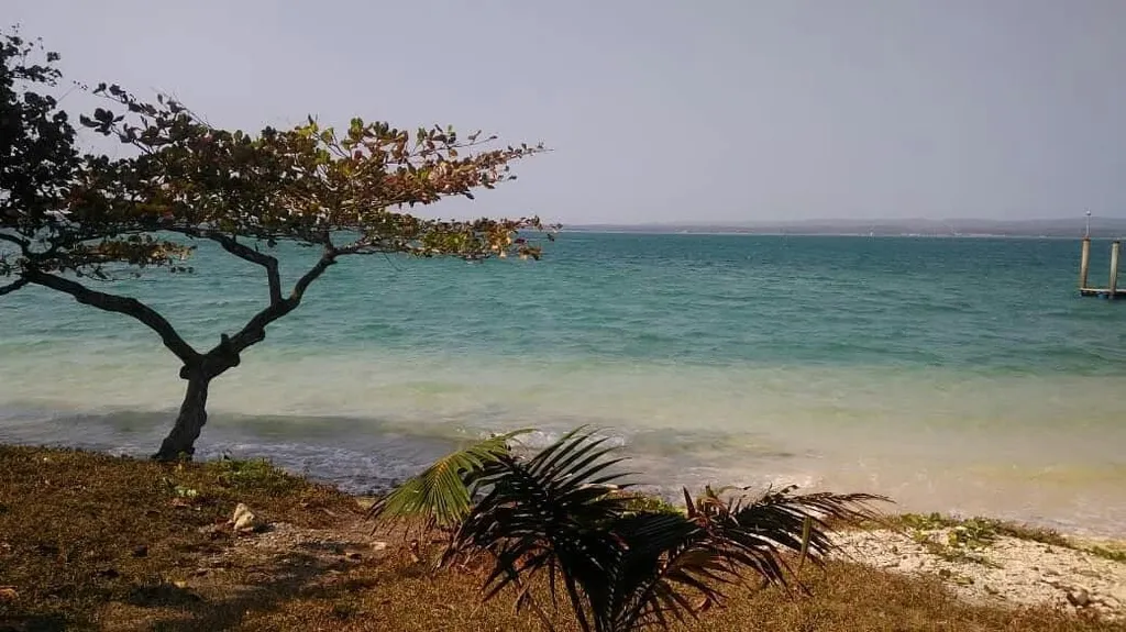 Pantai Pulau Liwungan