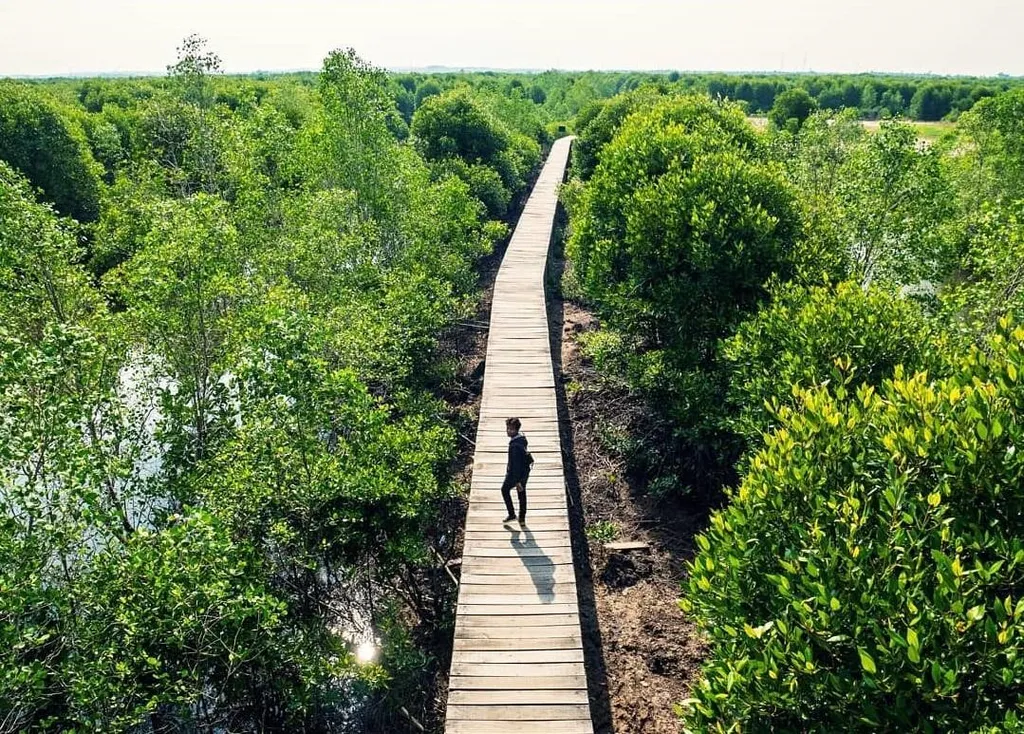 Wisata Mangrove Lubuk Kertang