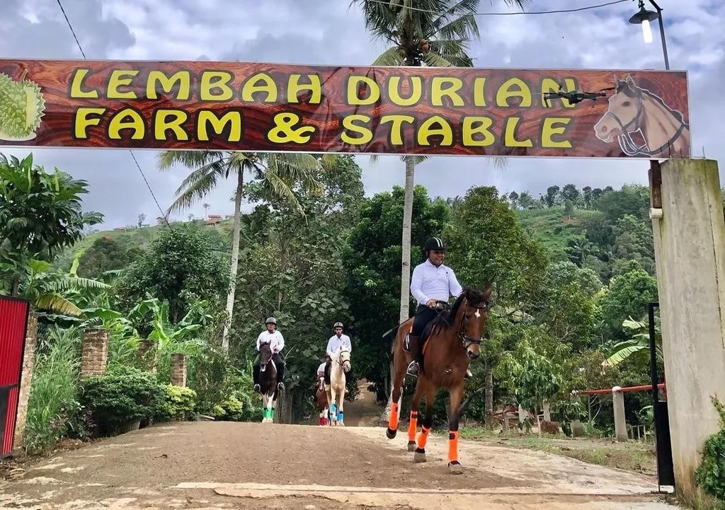 Lembah Durian Farm & Stable