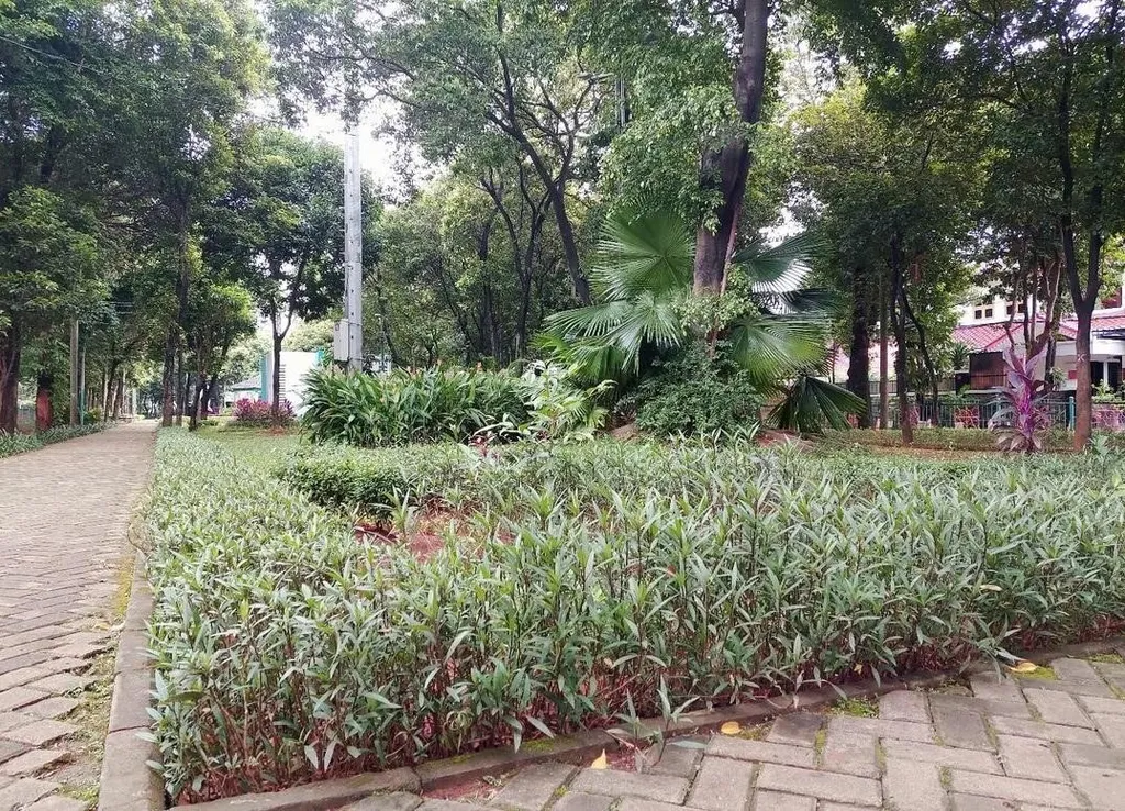 Taman Cornel Simanjuntak